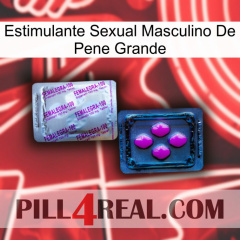 Big Penis Male Sexual Stimulant 37